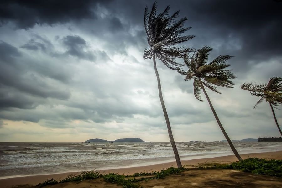 Gió mùa Tây Nam là gì? Nguyên nhân hình thành và ảnh hưởng trực tiếp của nó đến nước ta